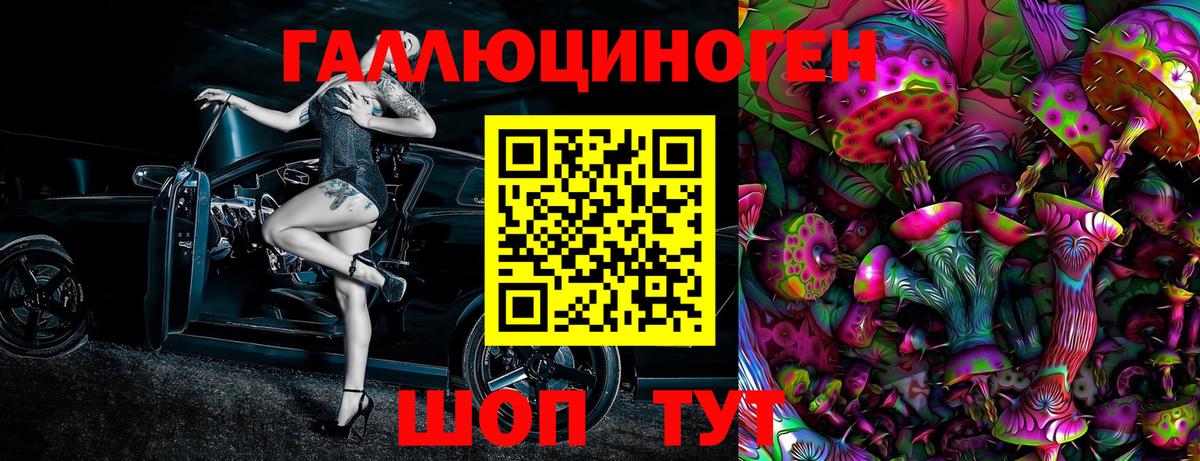 Камышин  Галлюциногенные грибы Magic Shrooms  Псилоцибиновые грибы ЛСД  Вход с VPN 