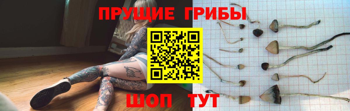 Галлюциногенные грибы мухоморы Камышин